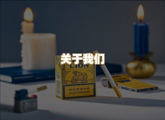关于云歌烟网